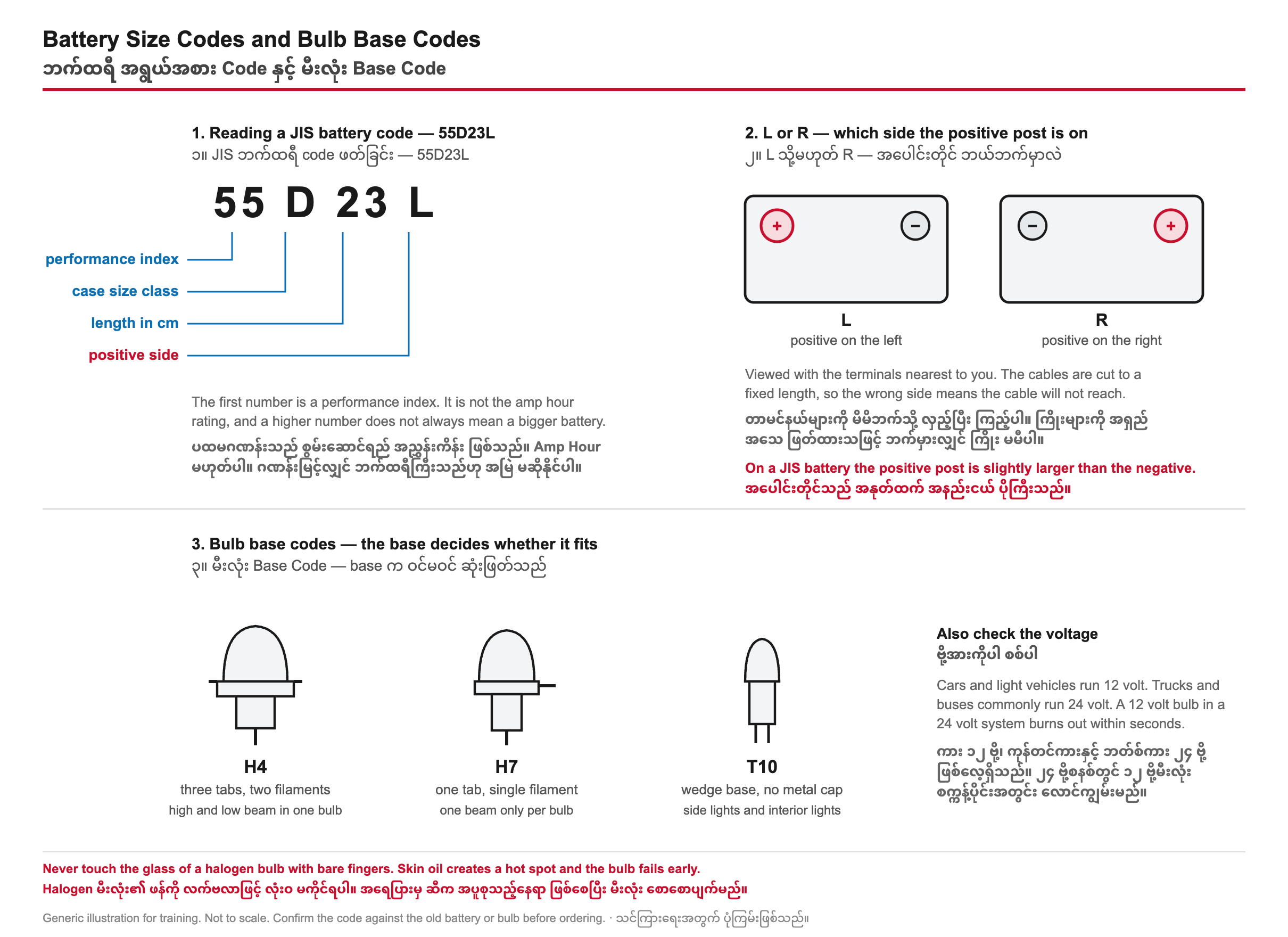 Win Store diagram showing how a JIS battery code such as 55D23L breaks down, and how bulb base codes H4, H7 and T10 differ